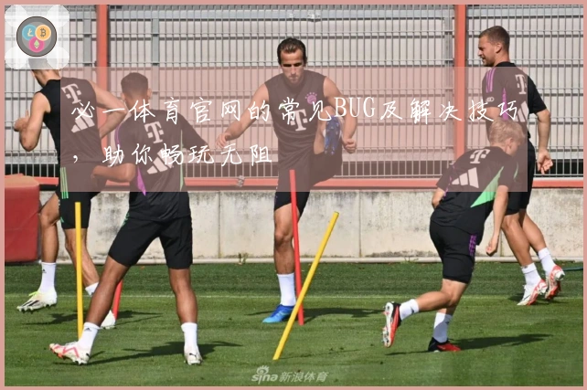 必一体育官网的常见BUG及解决技巧，助你畅玩无阻