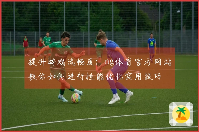 提升游戏流畅度：ng体育官方网站教你如何进行性能优化实用技巧