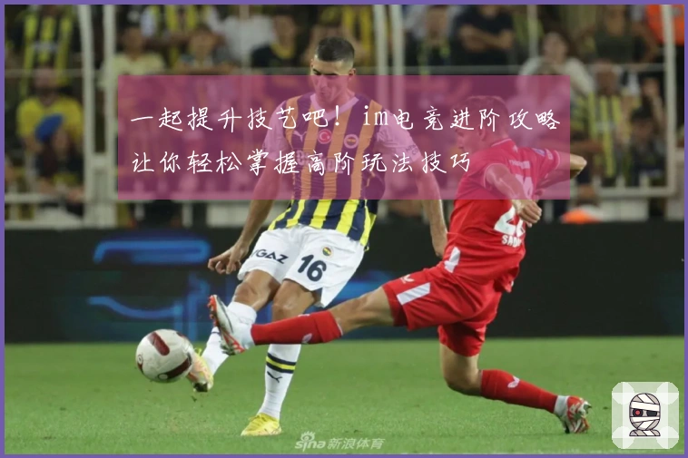 一起提升技艺吧！im电竞进阶攻略让你轻松掌握高阶玩法技巧